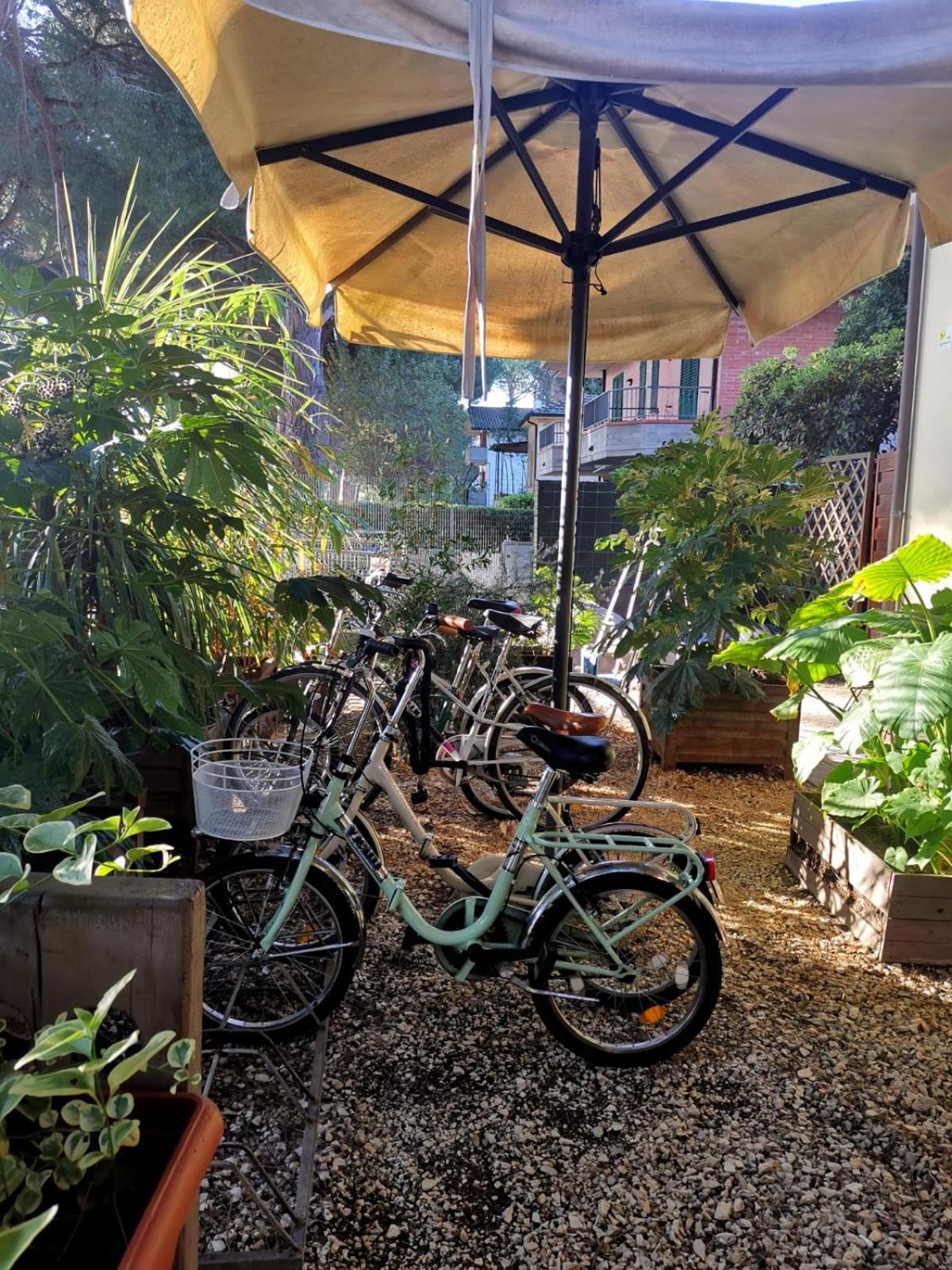Casa Dorita - Free Breakfast Corner 8-12 Hotel Cervia Exterior photo